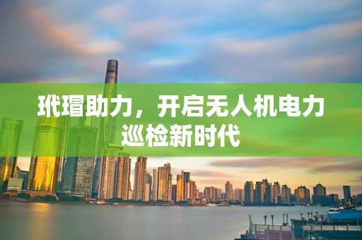 玳瑁助力，开启无人机电力巡检新时代