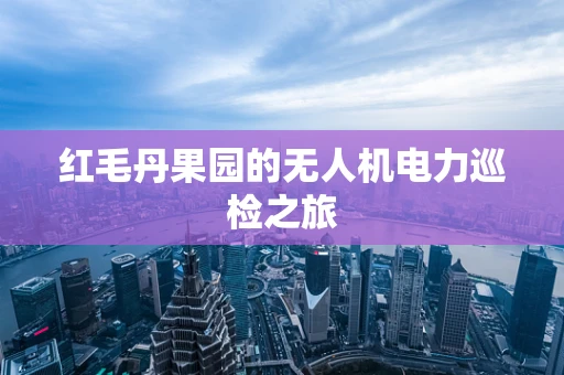 红毛丹果园的无人机电力巡检之旅