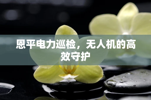 恩平电力巡检，无人机的高效守护