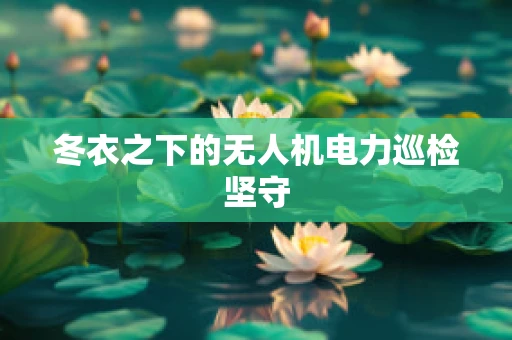 冬衣之下的无人机电力巡检坚守