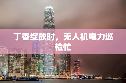 丁香绽放时，无人机电力巡检忙