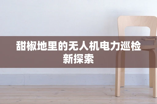 甜椒地里的无人机电力巡检新探索