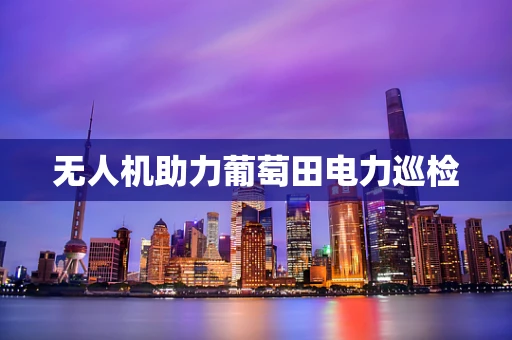无人机助力葡萄田电力巡检