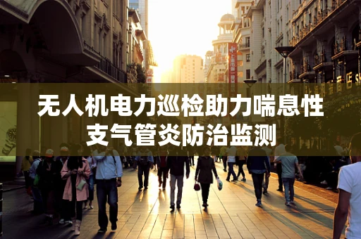 无人机电力巡检助力喘息性支气管炎防治监测