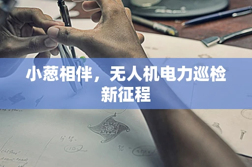 小葱相伴，无人机电力巡检新征程