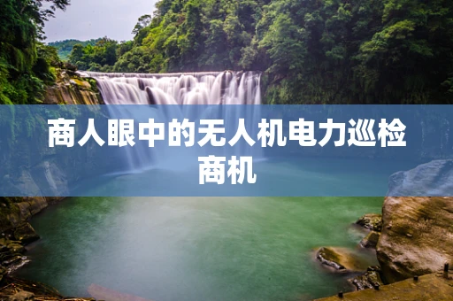 商人眼中的无人机电力巡检商机