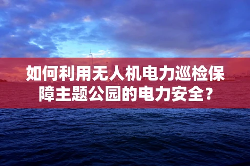 如何利用无人机电力巡检保障主题公园的电力安全？