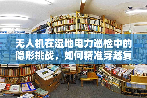 无人机在湿地电力巡检中的隐形挑战，如何精准穿越复杂植被？