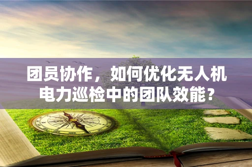 团员协作，如何优化无人机电力巡检中的团队效能？