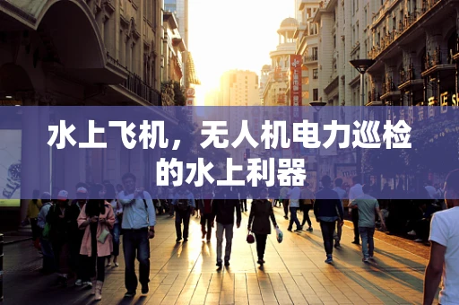 水上飞机，无人机电力巡检的水上利器