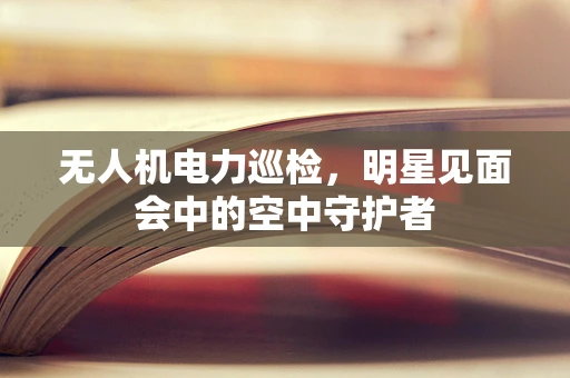 无人机电力巡检，明星见面会中的空中守护者