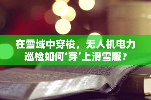 在雪域中穿梭，无人机电力巡检如何‘穿’上滑雪服？