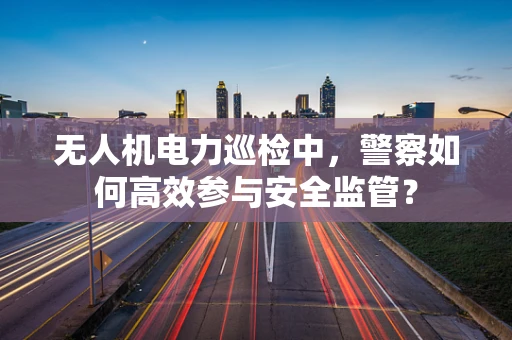 无人机电力巡检中，警察如何高效参与安全监管？