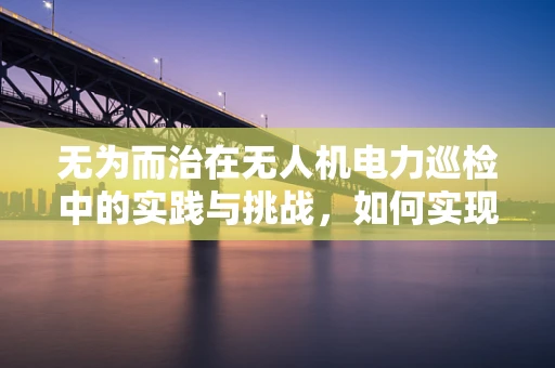 无为而治在无人机电力巡检中的实践与挑战，如何实现高效低扰的巡检策略？
