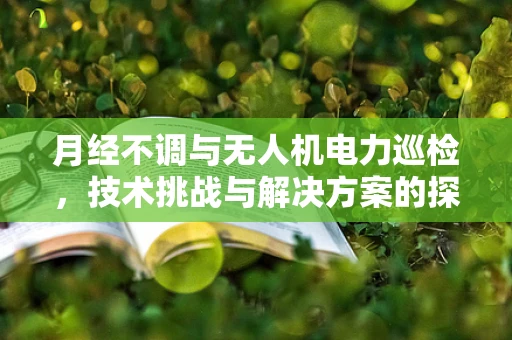 月经不调与无人机电力巡检，技术挑战与解决方案的探索