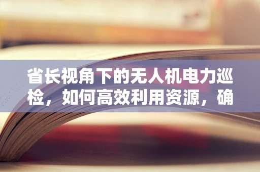 省长视角下的无人机电力巡检，如何高效利用资源，确保电网安全？