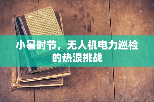 小暑时节，无人机电力巡检的热浪挑战
