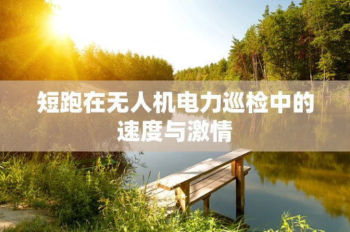 短跑在无人机电力巡检中的速度与激情