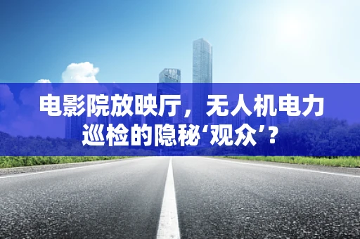电影院放映厅，无人机电力巡检的隐秘‘观众’？