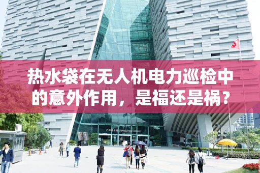 热水袋在无人机电力巡检中的意外作用，是福还是祸？