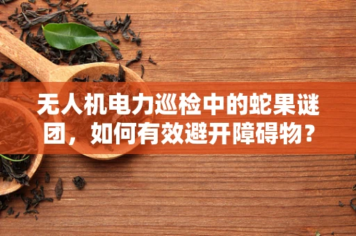 无人机电力巡检中的蛇果谜团，如何有效避开障碍物？