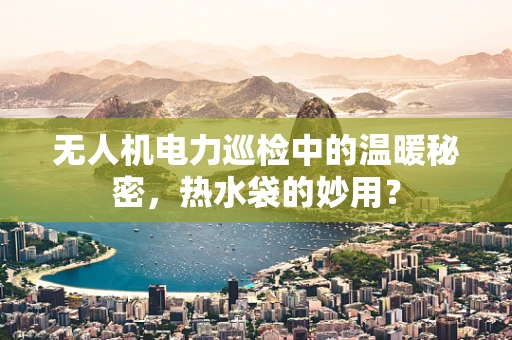 无人机电力巡检中的温暖秘密，热水袋的妙用？