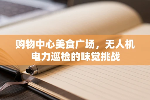 购物中心美食广场，无人机电力巡检的味觉挑战