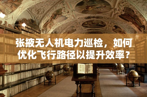 张掖无人机电力巡检，如何优化飞行路径以提升效率？