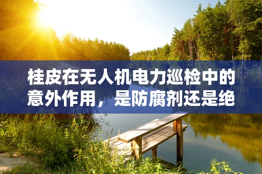 桂皮在无人机电力巡检中的意外作用，是防腐剂还是绝缘体？