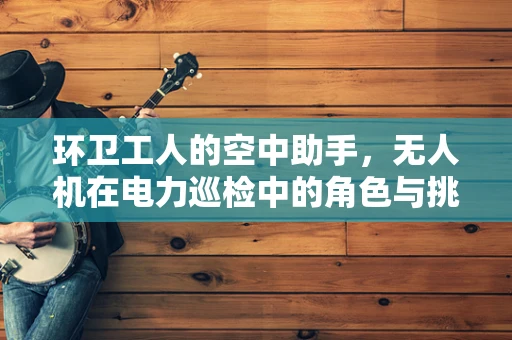 环卫工人的空中助手，无人机在电力巡检中的角色与挑战