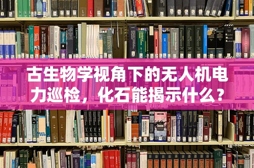 古生物学视角下的无人机电力巡检，化石能揭示什么？