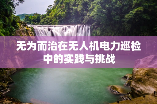 无为而治在无人机电力巡检中的实践与挑战