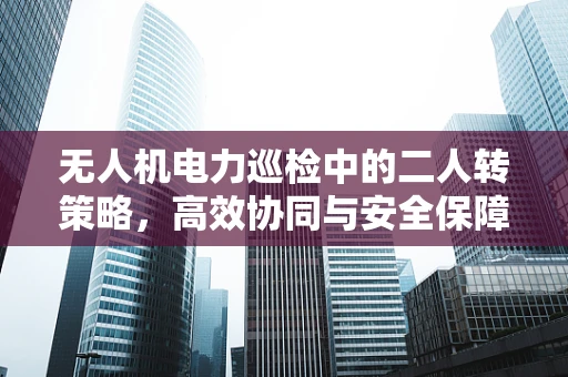无人机电力巡检中的二人转策略，高效协同与安全保障
