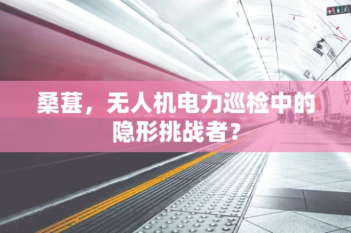 桑葚，无人机电力巡检中的隐形挑战者？