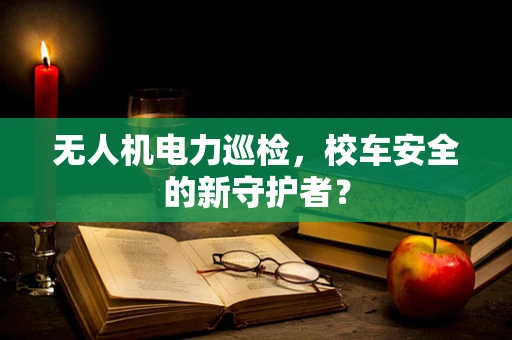 无人机电力巡检，校车安全的新守护者？
