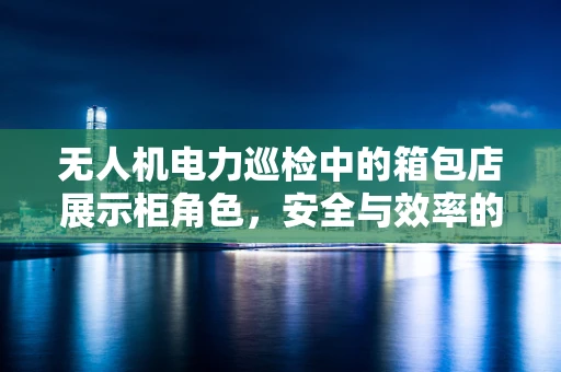 无人机电力巡检中的箱包店展示柜角色，安全与效率的双重挑战？