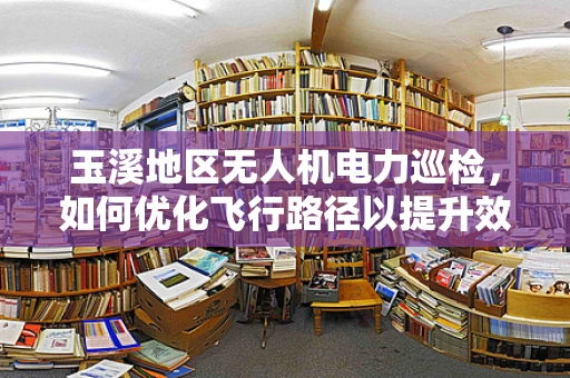 玉溪地区无人机电力巡检，如何优化飞行路径以提升效率？