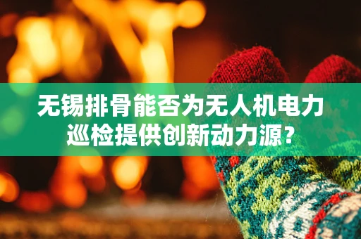 无锡排骨能否为无人机电力巡检提供创新动力源？