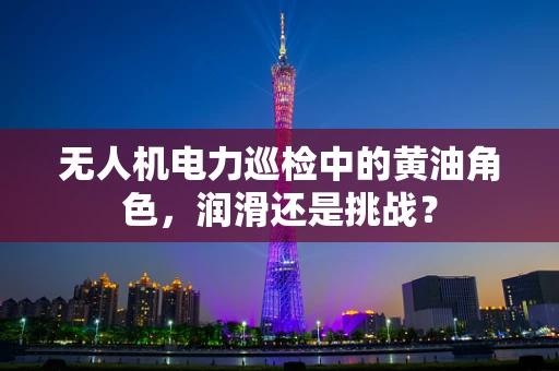无人机电力巡检中的黄油角色，润滑还是挑战？