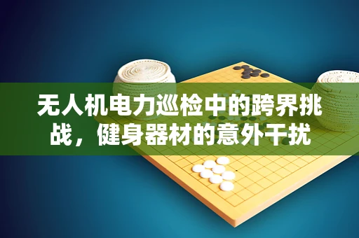 无人机电力巡检中的跨界挑战，健身器材的意外干扰