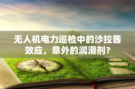 无人机电力巡检中的沙拉酱效应，意外的润滑剂？