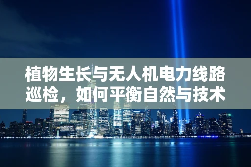 植物生长与无人机电力线路巡检，如何平衡自然与技术的和谐？