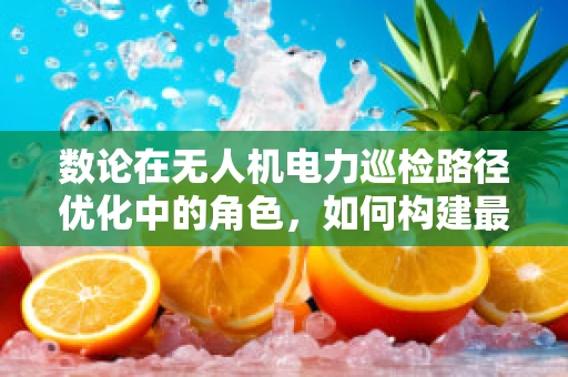 数论在无人机电力巡检路径优化中的角色，如何构建最优飞行轨迹？