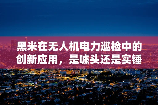黑米在无人机电力巡检中的创新应用，是噱头还是实锤？
