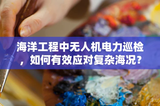 海洋工程中无人机电力巡检，如何有效应对复杂海况？