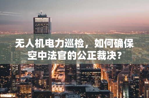 无人机电力巡检，如何确保空中法官的公正裁决？