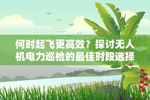 何时起飞更高效？探讨无人机电力巡检的最佳时段选择