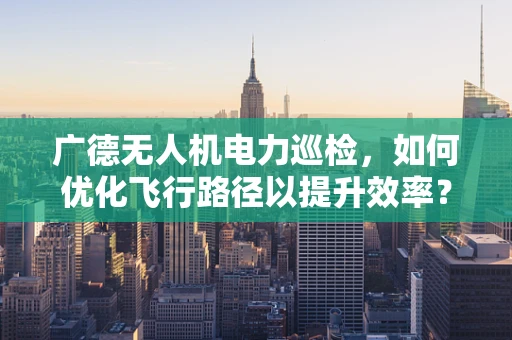 广德无人机电力巡检，如何优化飞行路径以提升效率？