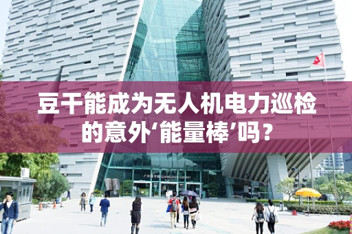 豆干能成为无人机电力巡检的意外‘能量棒’吗？