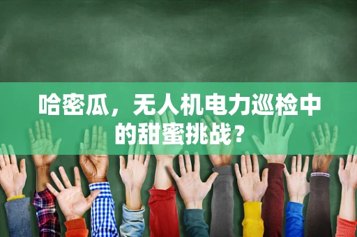 哈密瓜，无人机电力巡检中的甜蜜挑战？